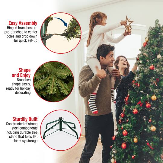 6.5 ft. Pre-Lit Frasier Grande Full Artificial Christmas Tree, Clear Lights
